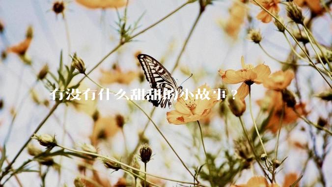 有没有什么甜甜的小故事?